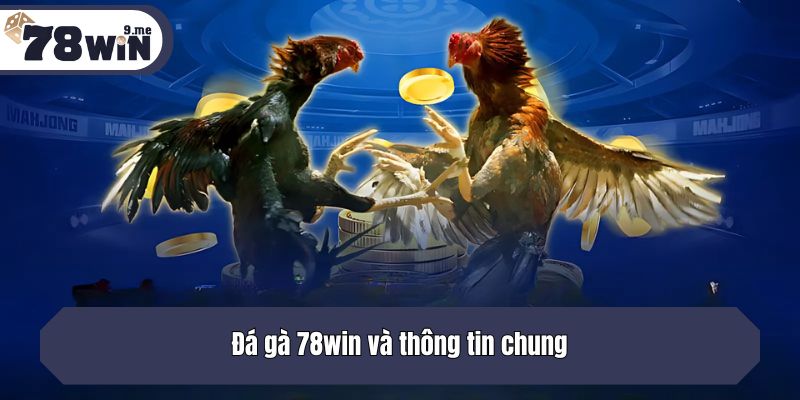 Đá gà 78win và thông tin chung