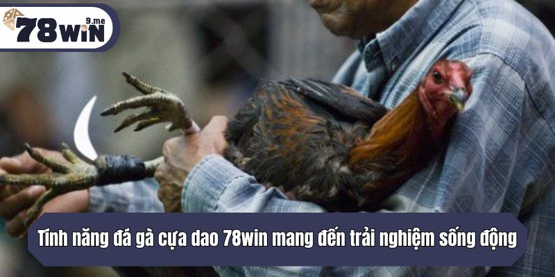 Tính năng đá gà cựa dao 78win mang đến trải nghiệm sống động