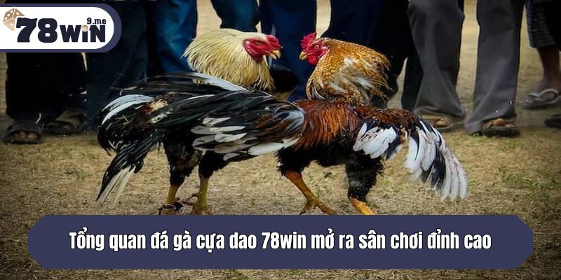Tổng quan đá gà cựa dao 78win mở ra sân chơi đỉnh cao